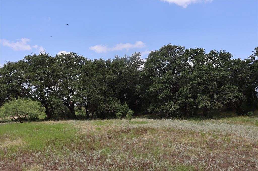 453.28 Acres of Recreational Land & Farm for Sale in Coleman, Texas