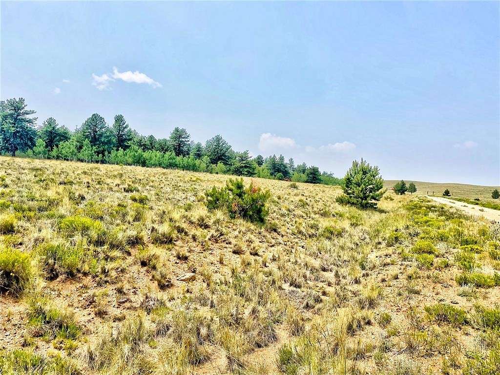 2 Acres of Residential Land for Sale in Hartsel, Colorado