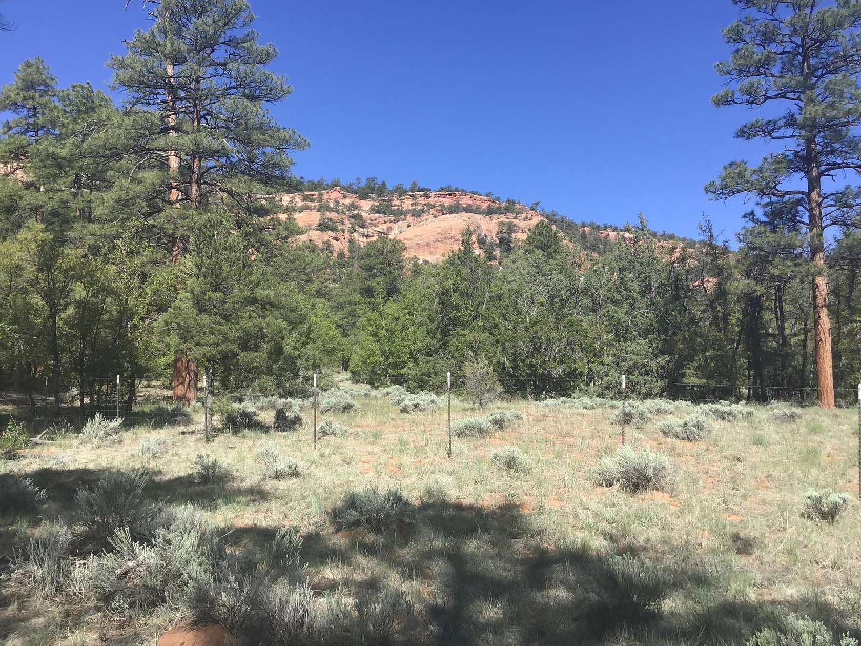 6.67 Acres of Land for Sale in Ramah, New Mexico