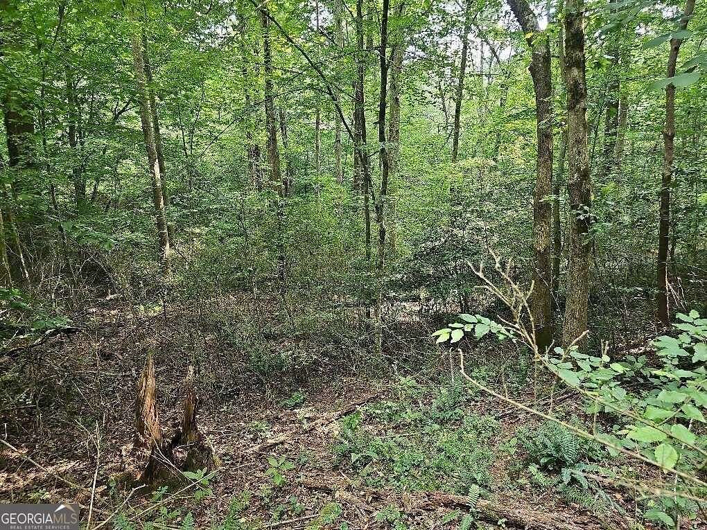 0.79 Acres of Residential Land for Sale in Ellijay, Georgia