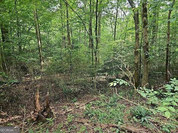 0.79 Acres of Residential Land for Sale in Ellijay, Georgia