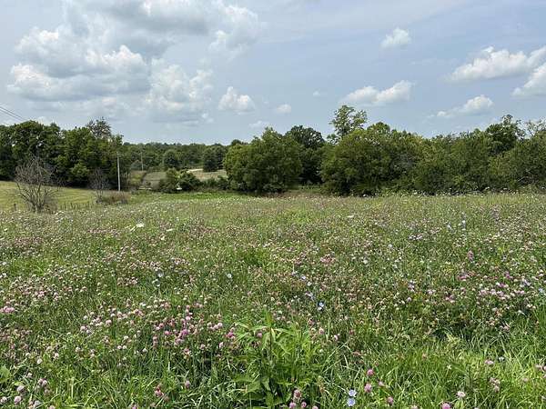 11 Acres of Agricultural Land for Sale in Georgetown, Kentucky