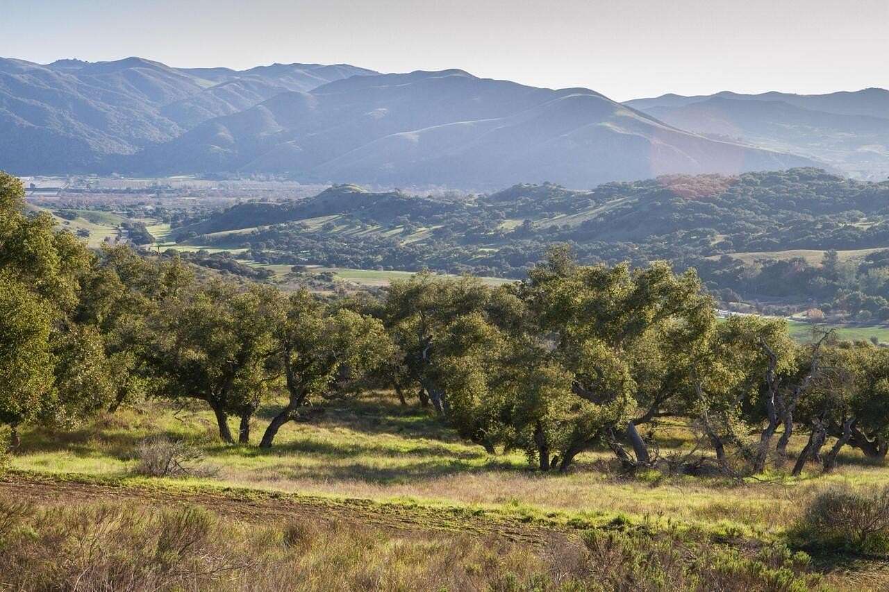 20.2 Acres of Agricultural & Residential Land for Sale in Buellton, California