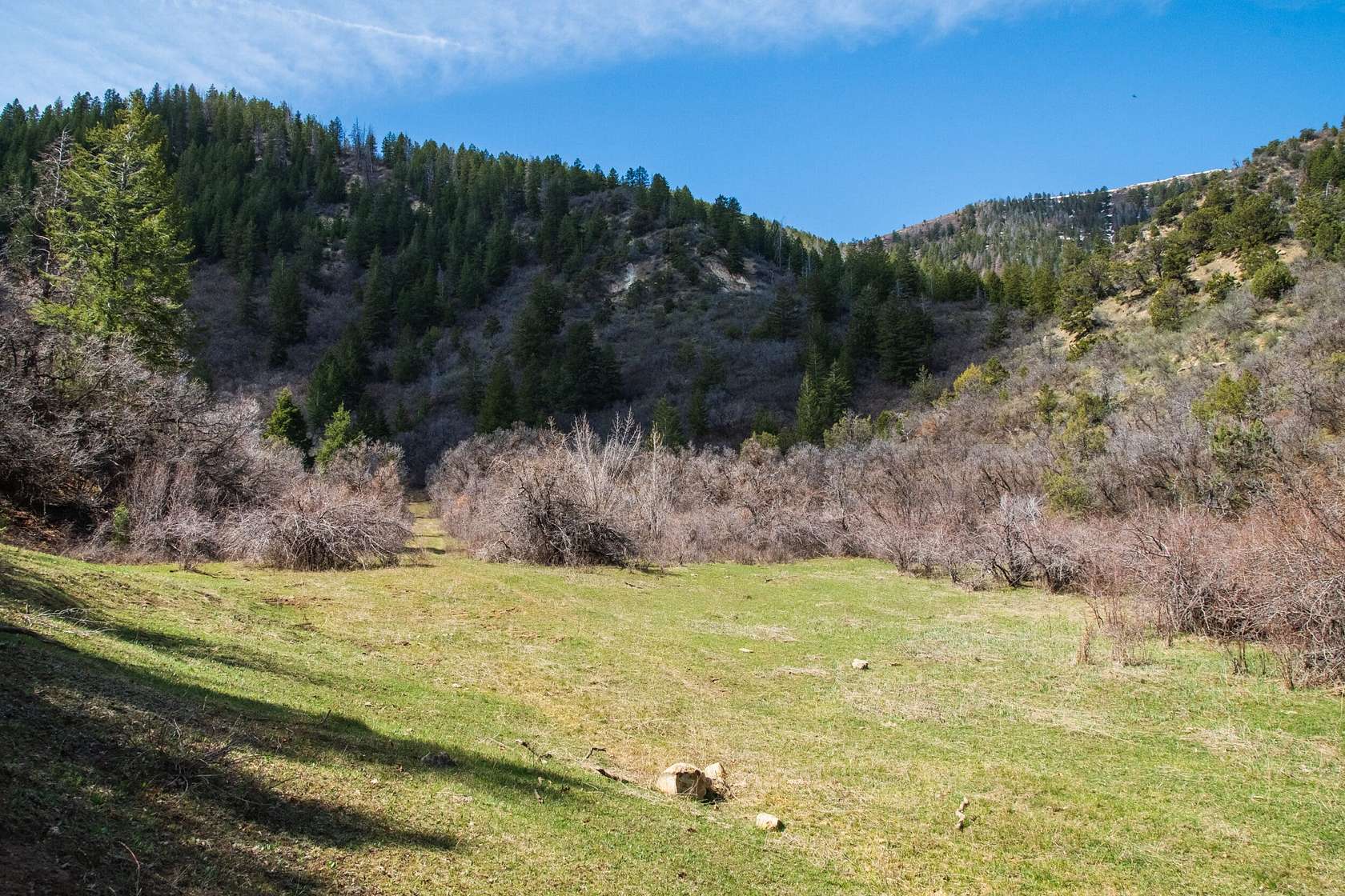 803 Acres of Recreational Land for Sale in Rifle, Colorado