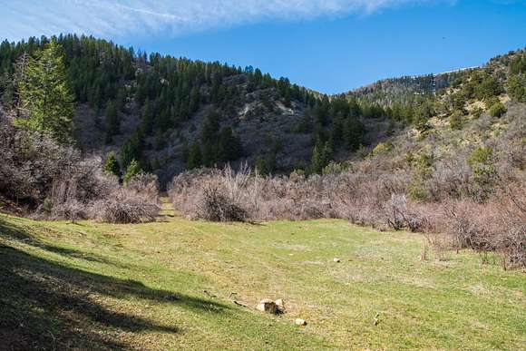 803 Acres of Recreational Land for Sale in Rifle, Colorado