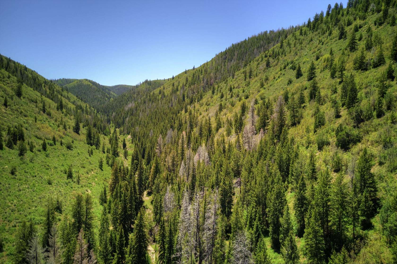 1,020 Acres of Recreational Land for Sale in Rifle, Colorado