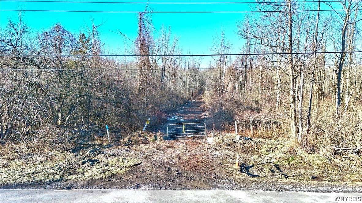 11.47 Acres of Land for Sale in Hamburg, New York