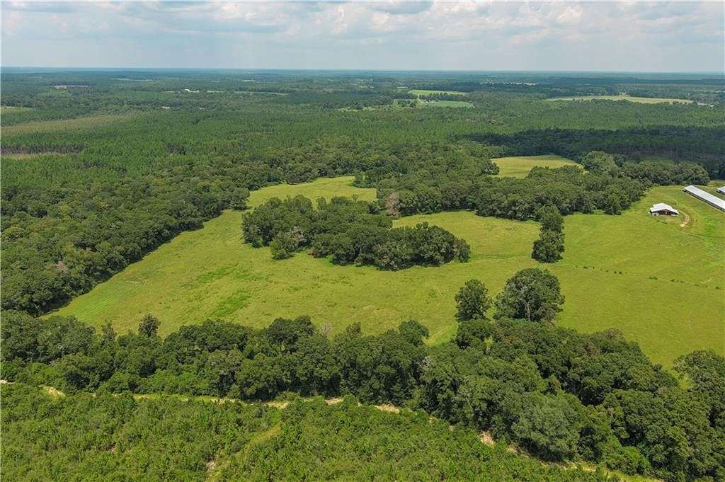 70 Acres of Recreational Land for Sale in Florala, Alabama