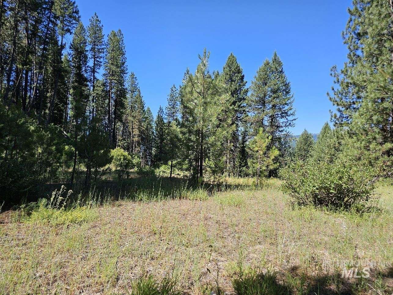 3.91 Acres of Residential Land for Sale in Garden Valley, Idaho