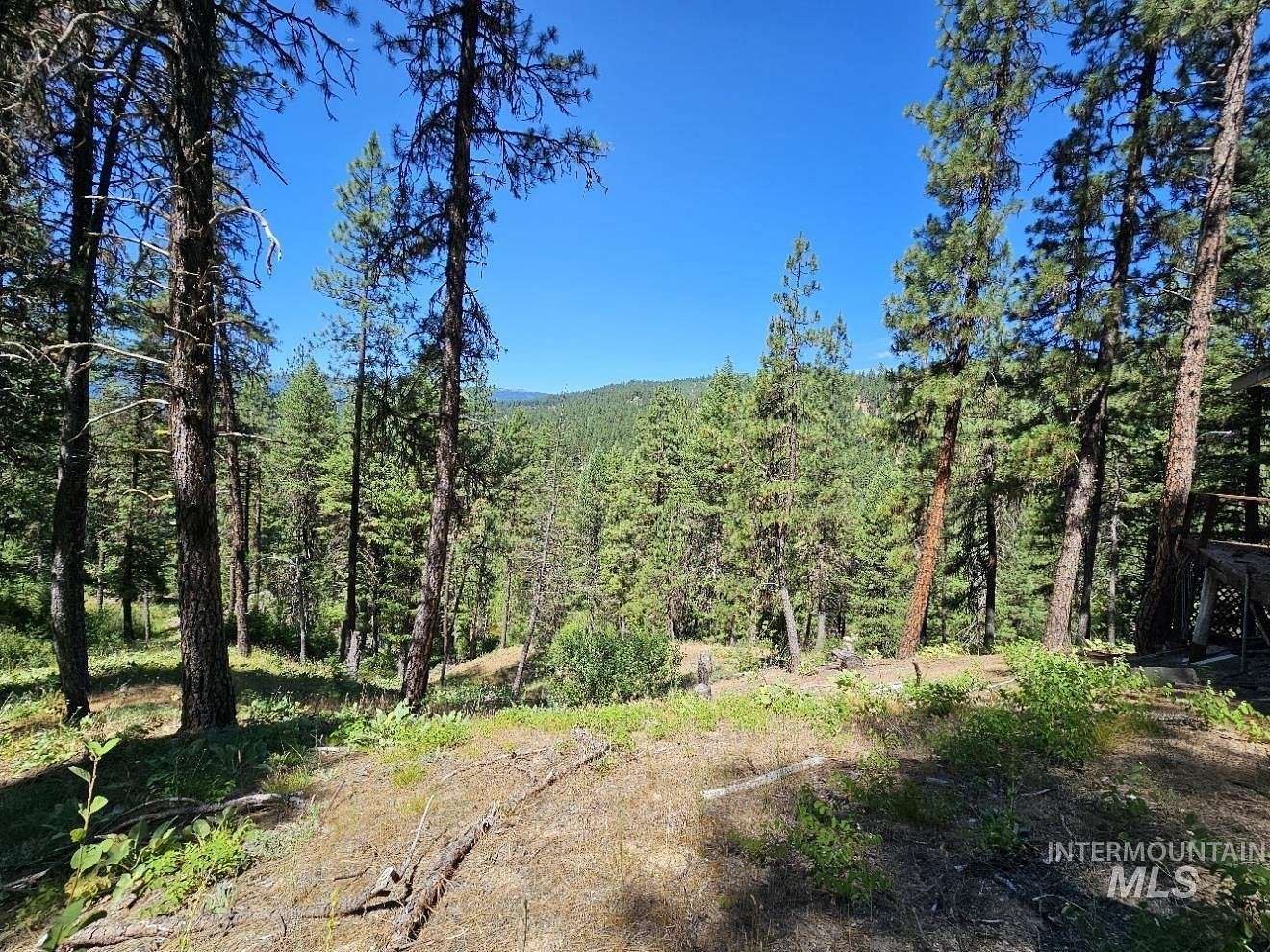 8.14 Acres of Residential Land for Sale in Garden Valley, Idaho