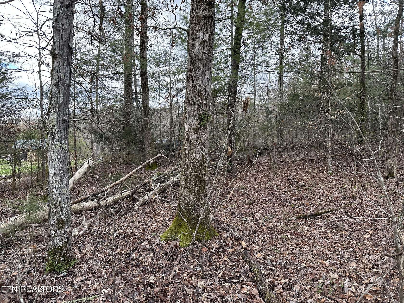 12.94 Acres of Land for Sale in Tellico Plains, Tennessee