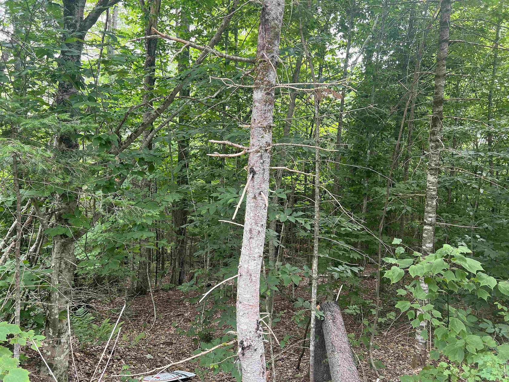 1 Acre of Residential Land for Sale in Dorchester, New Hampshire