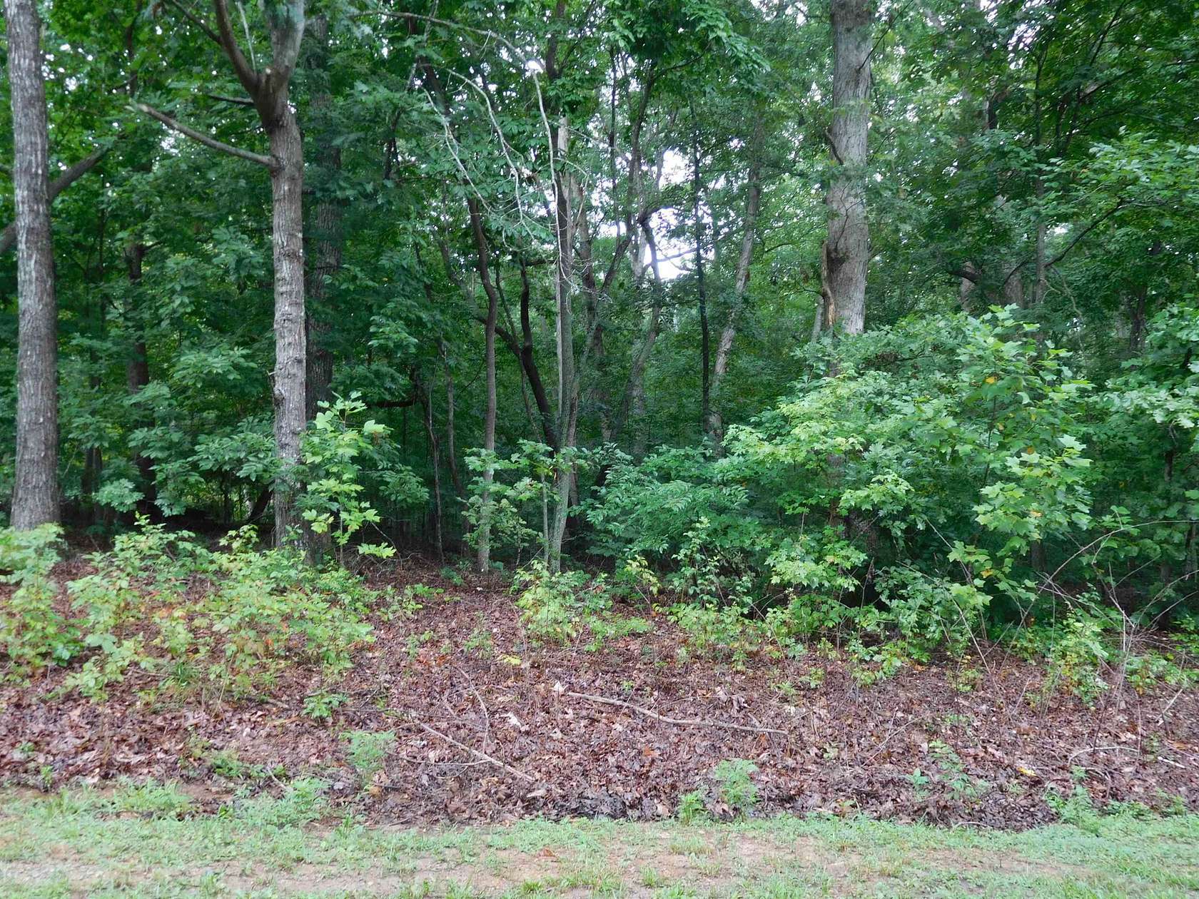 1.5 Acres of Residential Land for Sale in Gaffney, South Carolina