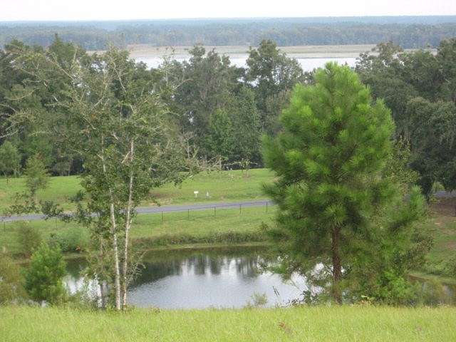 1.81 Acres of Residential Land for Sale in Bainbridge, Georgia