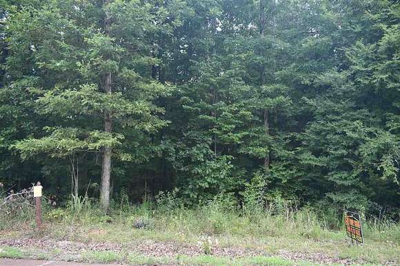 1 Acre of Land for Sale in Selmer, Tennessee