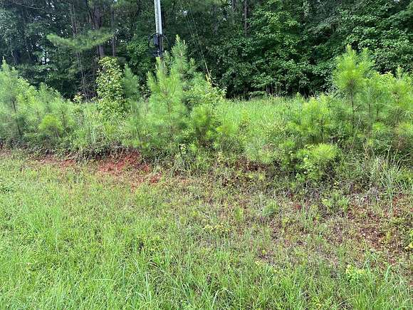 Residential Land for Sale in Milledgeville, Georgia