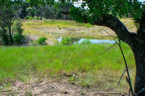 156.46 Acres of Recreational Land & Farm for Sale in Ovalo, Texas