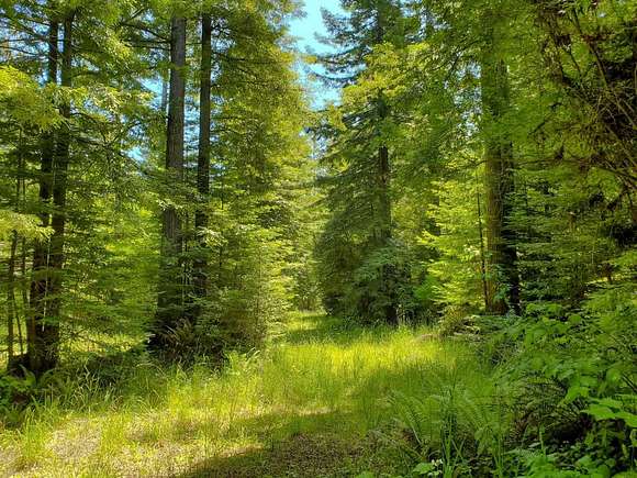 14.82 Acres of Recreational Land for Sale in Crescent City, California