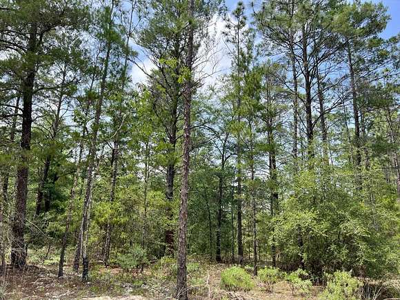 1.1 Acres of Residential Land for Sale in DeFuniak Springs, Florida