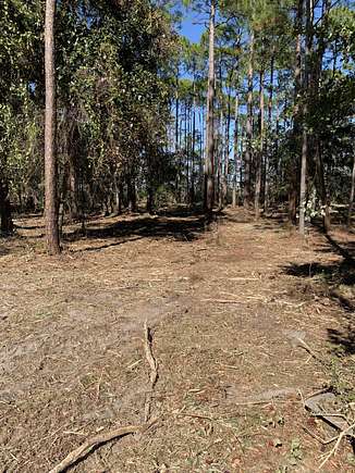 1.3 Acres of Land for Sale in Santa Rosa Beach, Florida