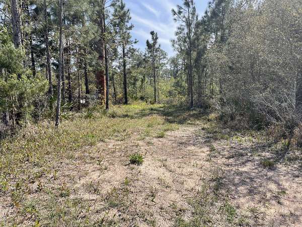 0.28 Acres of Residential Land for Sale in Navarre, Florida