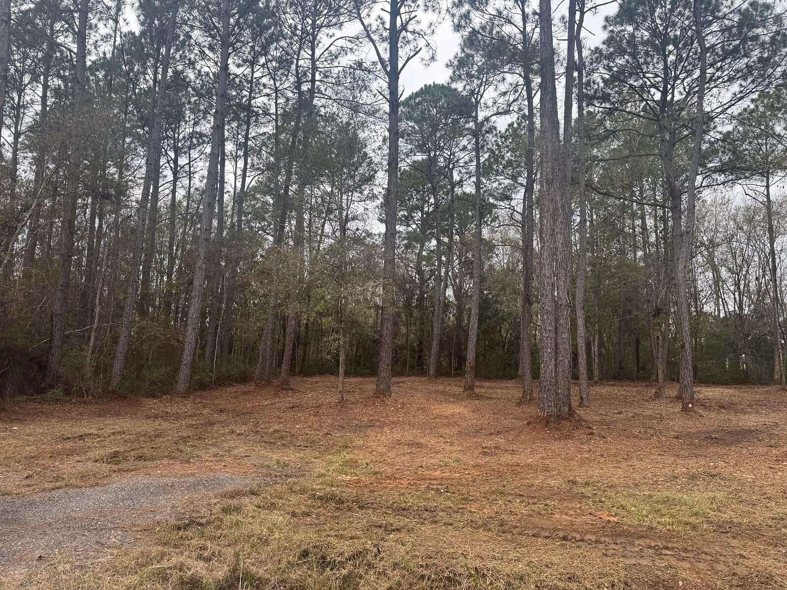 0.43 Acres of Residential Land for Sale in Milton, Florida