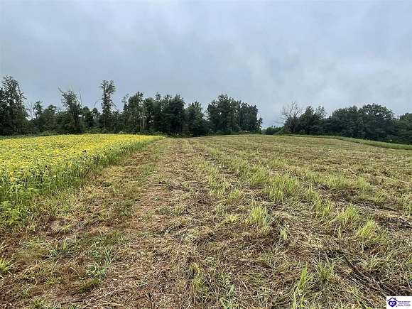 6.3 Acres of Land for Sale in Hodgenville, Kentucky