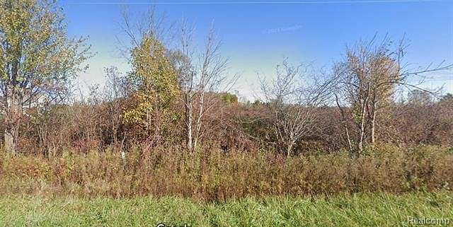 6.26 Acres of Residential Land for Sale in Riley Township, Michigan