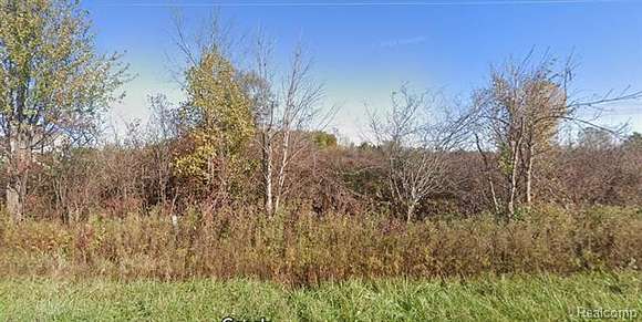 6.26 Acres of Residential Land for Sale in Riley Township, Michigan