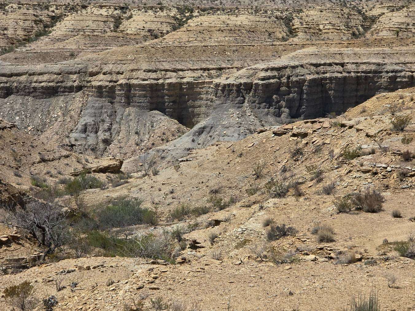 20 Acres of Land for Sale in Terlingua, Texas