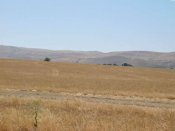 39.05 Acres of Agricultural Land for Sale in Moxee City, Washington