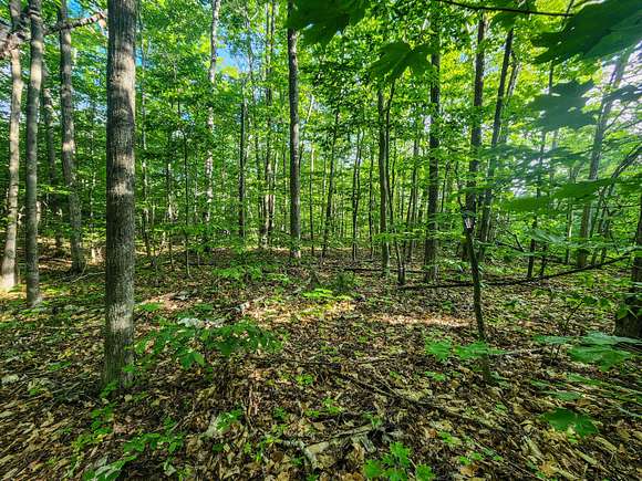 0.992 Acres of Residential Land for Sale in Cheboygan, Michigan