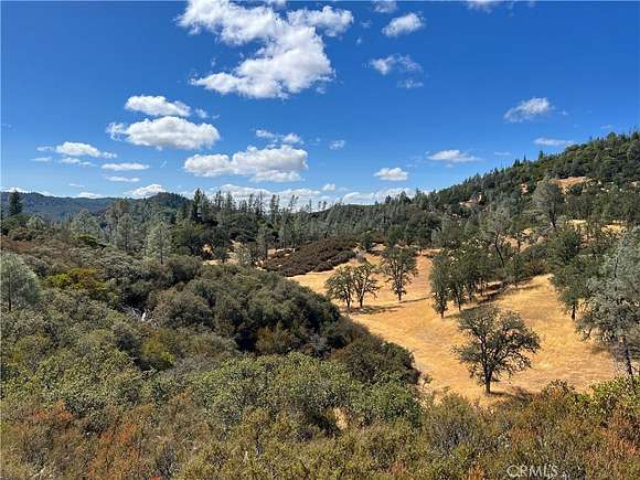 16.92 Acres of Land for Sale in Loch Lomond, California