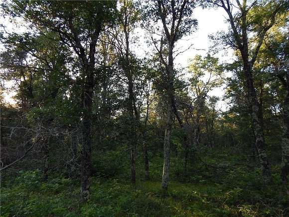 38.9 Acres of Recreational Land for Sale in Danbury, Wisconsin