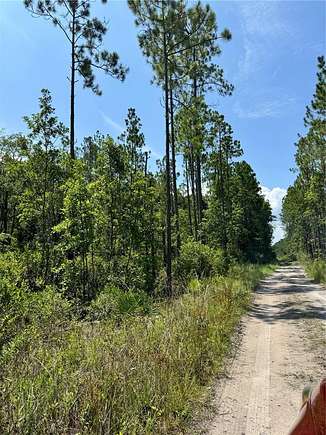 1.25 Acres of Land for Sale in Palatka, Florida