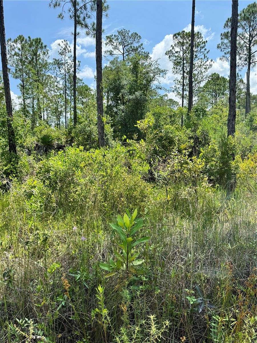 0.46 Acres of Residential Land for Sale in Satsuma, Florida