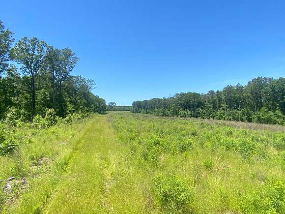 53.02 Acres of Recreational Land for Sale in Arkadelphia, Arkansas