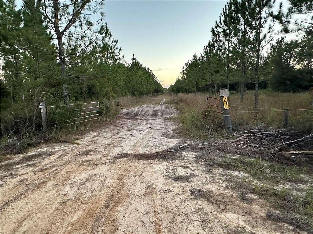 5.03 Acres of Residential Land for Sale in Waverly, Georgia