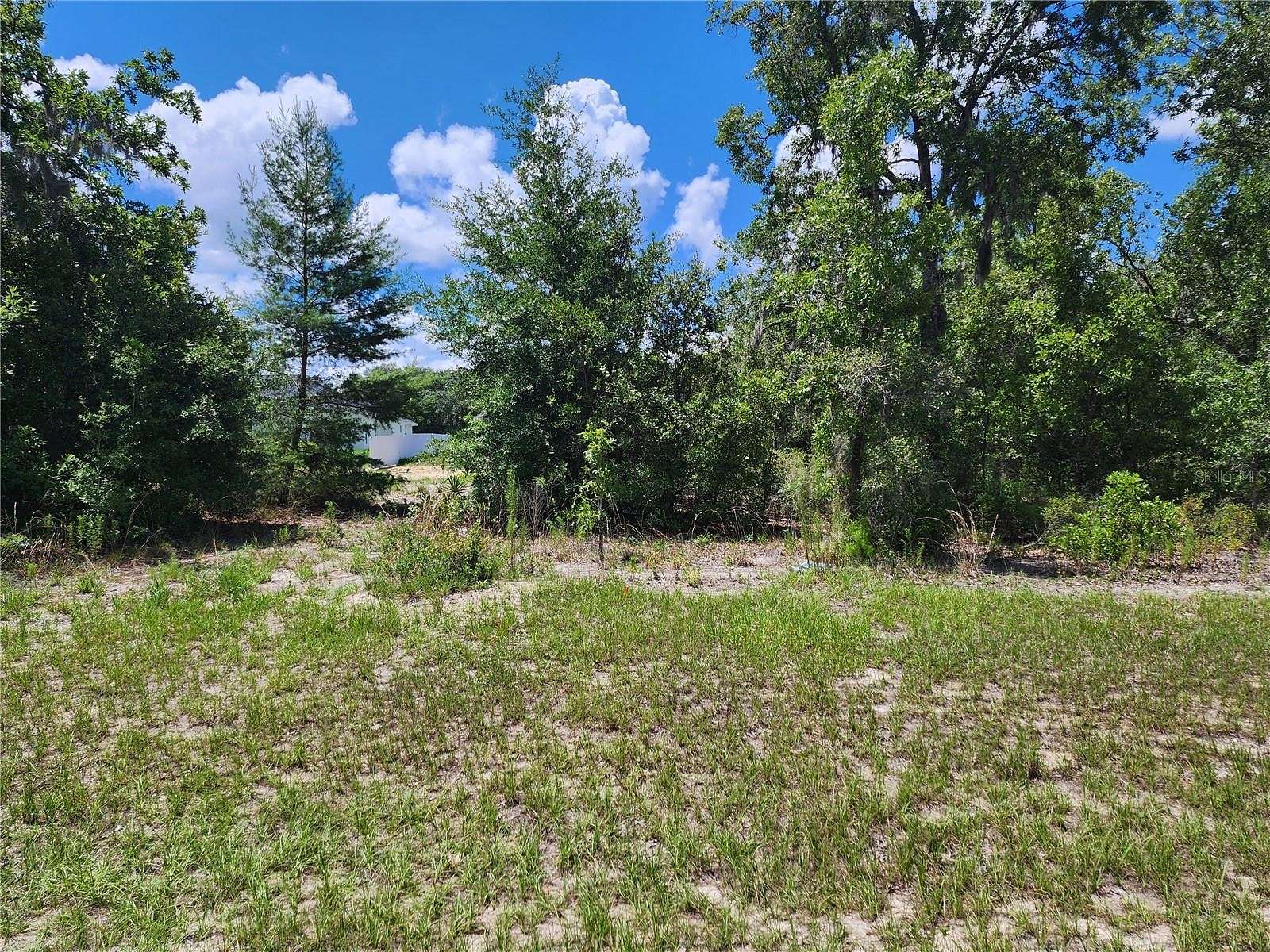 0.23 Acres of Residential Land for Sale in Ocala, Florida