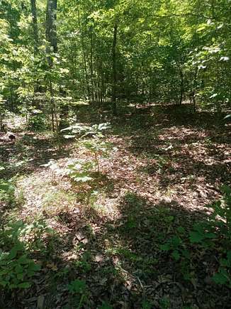 3.3 Acres of Residential Land for Sale in Glencoe, Arkansas