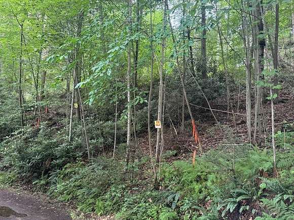 Land for Sale in Fayetteville, West Virginia