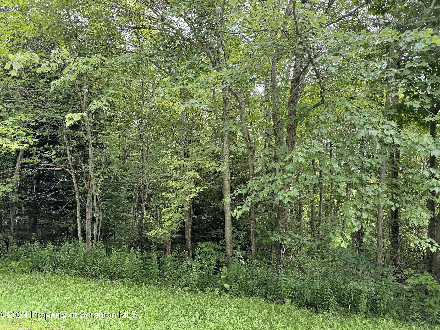 1.27 Acres of Residential Land for Sale in Spring Brook Township, Pennsylvania