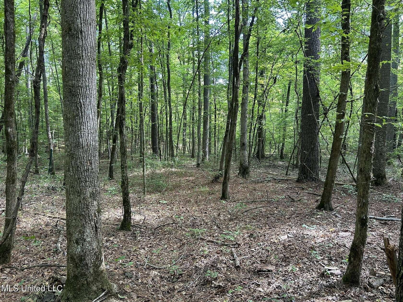 29.3 Acres of Recreational Land for Sale in West, Mississippi