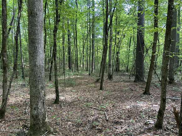 29.3 Acres of Recreational Land for Sale in West, Mississippi
