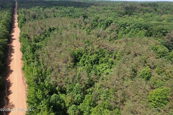 29.3 Acres of Recreational Land for Sale in West, Mississippi