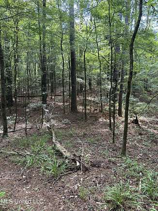 39.6 Acres of Recreational Land for Sale in West, Mississippi