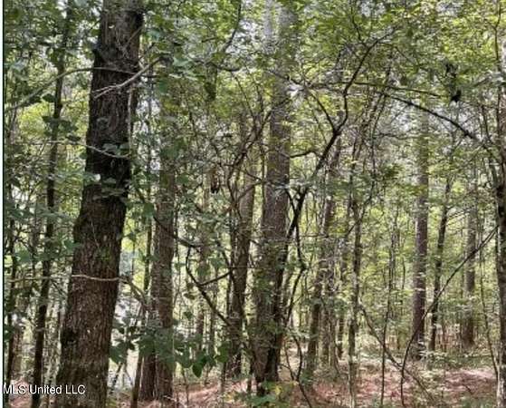 17.2 Acres of Recreational Land for Sale in West, Mississippi
