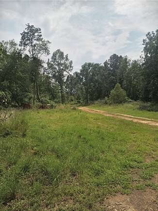 380 Acres of Recreational Land & Farm for Sale in Ozark, Arkansas