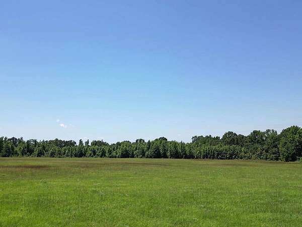40.3 Acres of Recreational Land for Sale in De Kalb, Texas