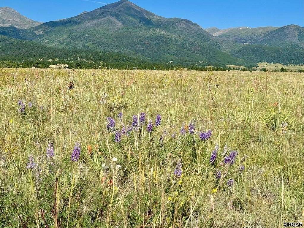 44 Acres of Recreational & Residential Land for Sale in Westcliffe, Colorado